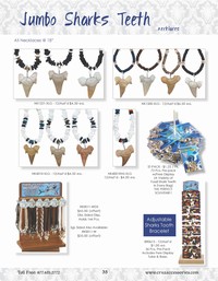 Shark Tooth Souvenir Pack