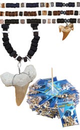 Shark's Teeth Jewelry