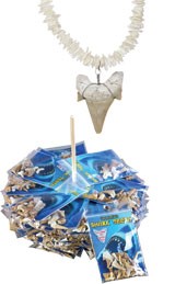 Shark's Teeth Jewelry