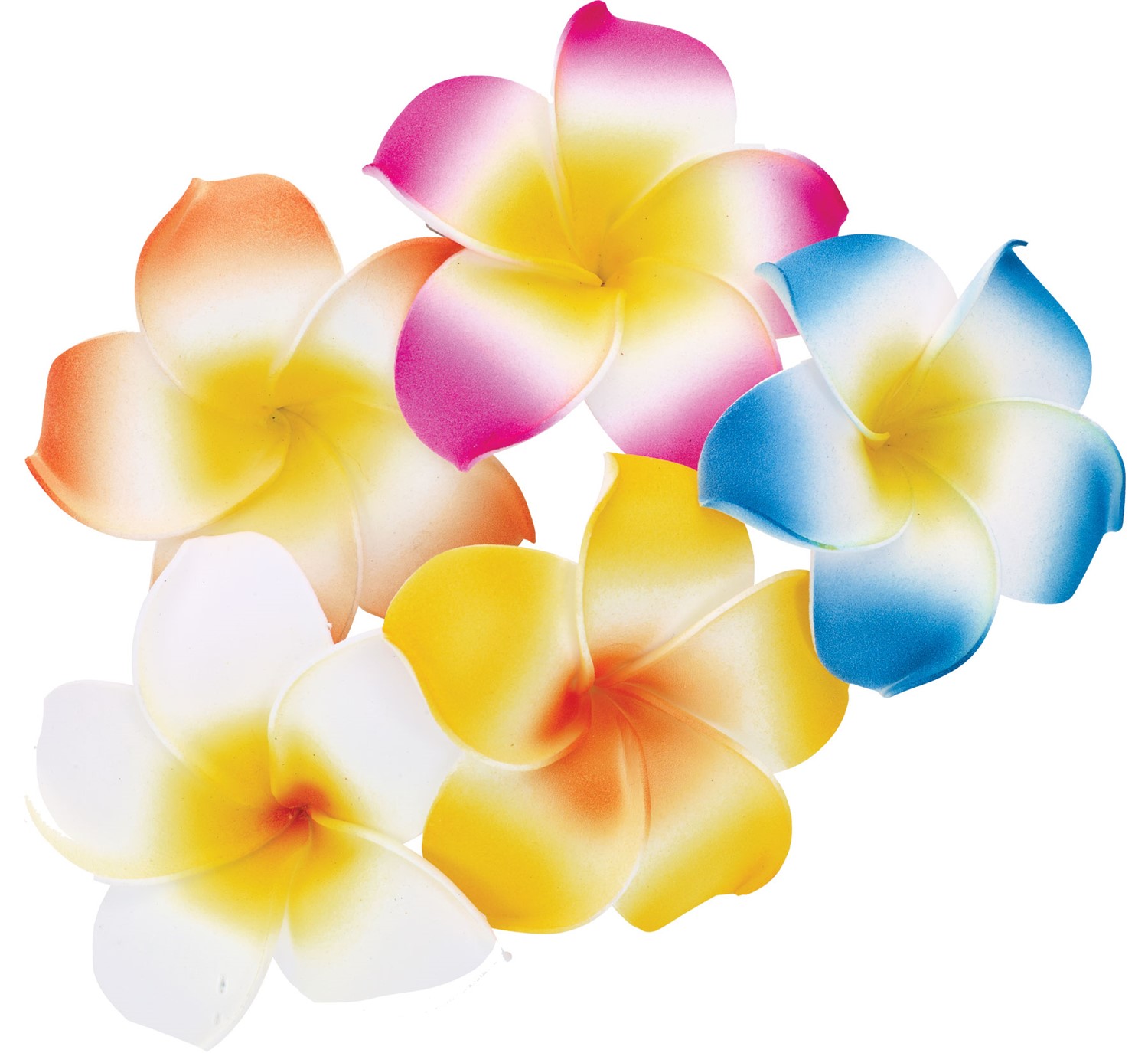 Hibiscus Flower Hair Clips (A) Assorted HC0003-A