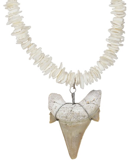 White Chip Shell With Extra Large Shark Tooth Necklace ZXNK4001-XLG