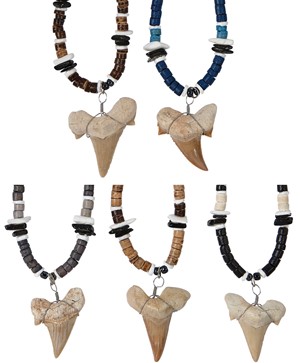 Coco W/Black Litob Pen Shell With Extra Large Shark Tooth Necklace Assorted