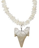 White Chip Shell With Extra Large Shark Tooth Necklace