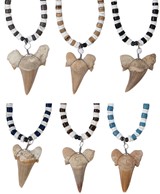 Coco And Litob Pen Shell With Extra Large Shark Tooth Necklace Assorted