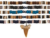Coco With Natural Shell Pattern Shark Tooth Necklace Assorted