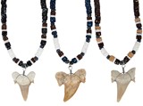 Speckled Coco And Shell With Extra Large Shark Tooth Necklace Assorted