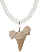 White Clam Shell With Extra Large Shark Tooth Necklace