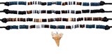 Pen Shell Litob & Fimo Adjustable Shark Tooth Necklace