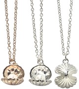 Open Clam With Pearl Bead Pendant on Chain Necklace Assorted