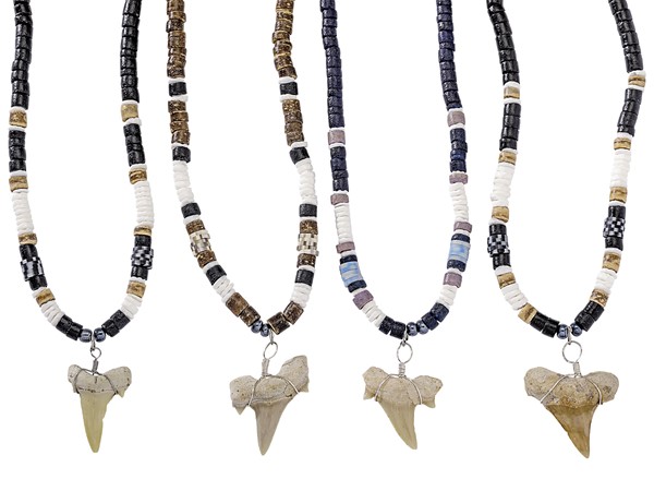 Coco Shell Fimo With Extra Large Shark Tooth Necklace Assorted